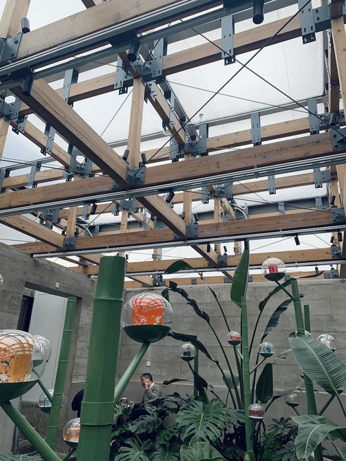 上?？Х戎?百年皂廠變身白七咖啡廳,給城市留下溫暖記憶