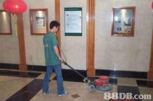 搬運服務的搜尋結果 清潔服務 滅鼠 地氈清洗 家居清潔 殺蟲 滅蚤 滅白蟻 滅蟻 裝修清潔 滅蟲服務 清潔服務 滅鼠 地氈清洗 家居清潔 殺蟲 滅蚤 滅白蟻